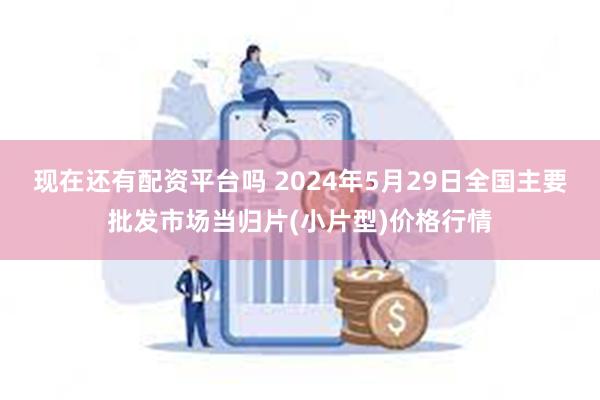 现在还有配资平台吗 2024年5月29日全国主要批发市场当归片(小片型)价格行情