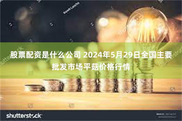 股票配资是什么公司 2024年5月29日全国主要批发市场平菇价格行情