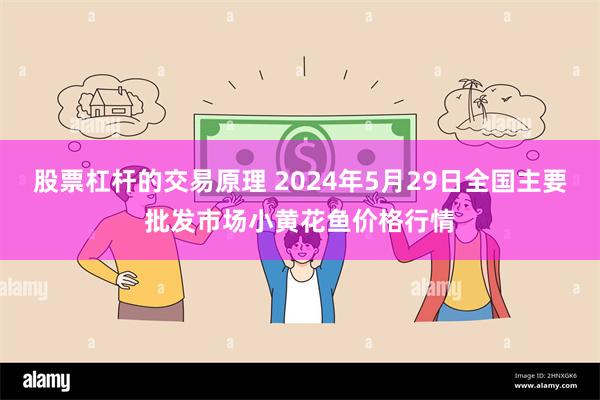 股票杠杆的交易原理 2024年5月29日全国主要批发市场小黄花鱼价格行情