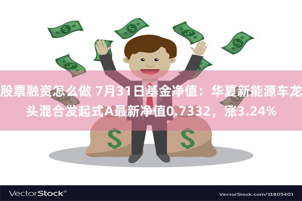 股票融资怎么做 7月31日基金净值：华夏新能源车龙头混合发起式A最新净值0.7332，涨3.24%