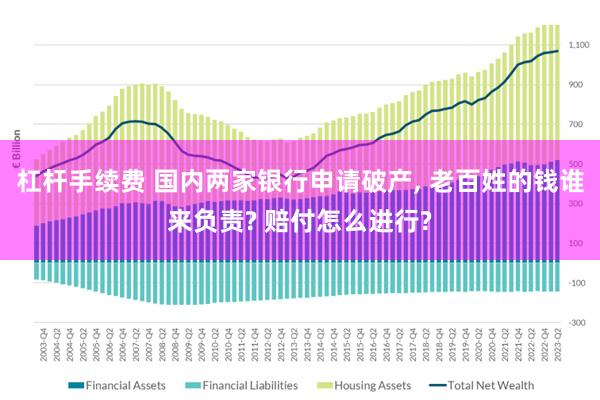 杠杆手续费 国内两家银行申请破产, 老百姓的钱谁来负责? 赔付怎么进行?