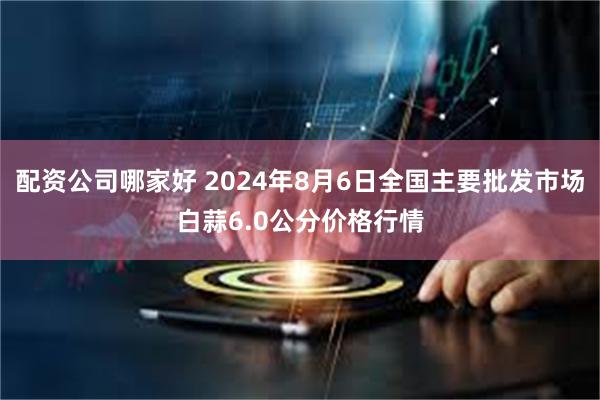 配资公司哪家好 2024年8月6日全国主要批发市场白蒜6.0公分价格行情