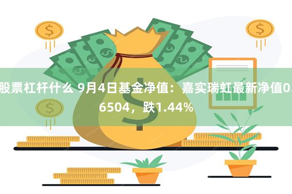 股票杠杆什么 9月4日基金净值：嘉实瑞虹最新净值0.6504，跌1.44%