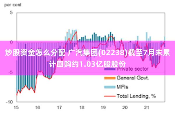 炒股资金怎么分配 广汽集团(02238)截至7月末累计回购约1.03亿股股份