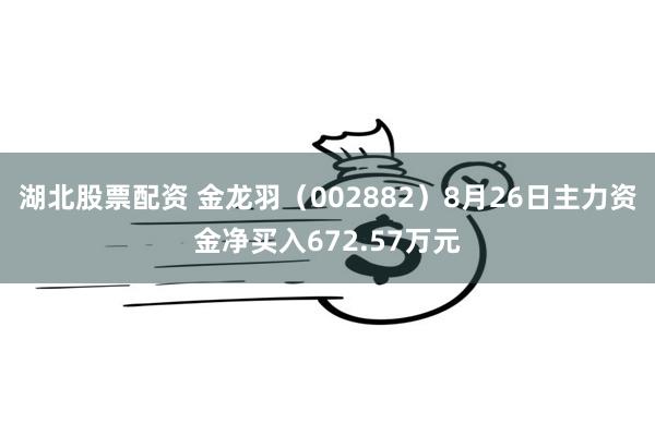 湖北股票配资 金龙羽（002882）8月26日主力资金净买入672.57万元