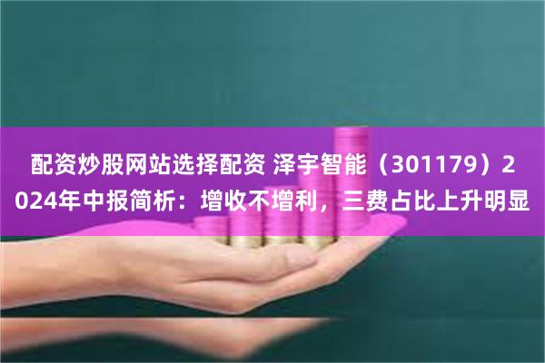 配资炒股网站选择配资 泽宇智能（301179）2024年中报简析：增收不增利，三费占比上升明显