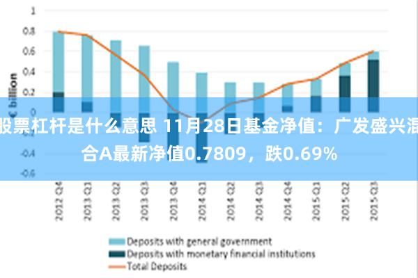 股票杠杆是什么意思 11月28日基金净值：广发盛兴混合A最新净值0.7809，跌0.69%